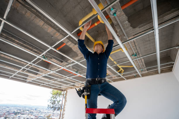 Best Emergency Plumbing Repair  in Romeo, MI
