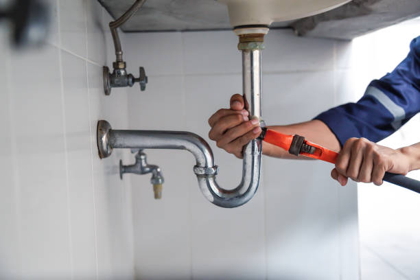 Best Clogged Drain Plumber  in Romeo, MI